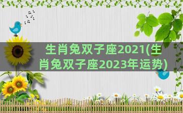 生肖兔双子座2021(生肖兔双子座2023年运势)